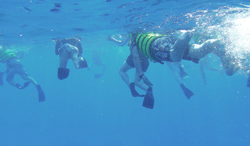 シュノーケリングボタン