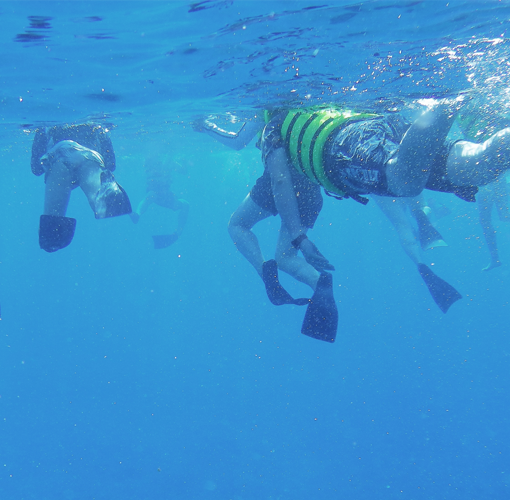 シュノーケリングイメージ