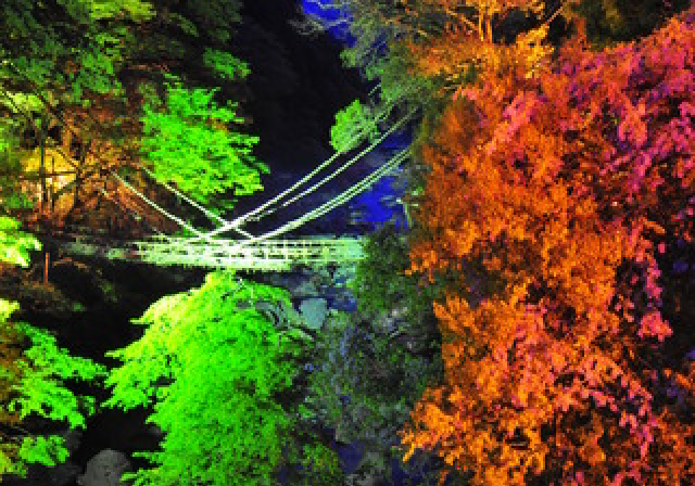 祖谷のかずら橋イメージ